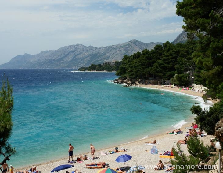Plaža 1